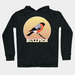 Bullfinch Bird Watching Birding Ornithologist Gift Hoodie